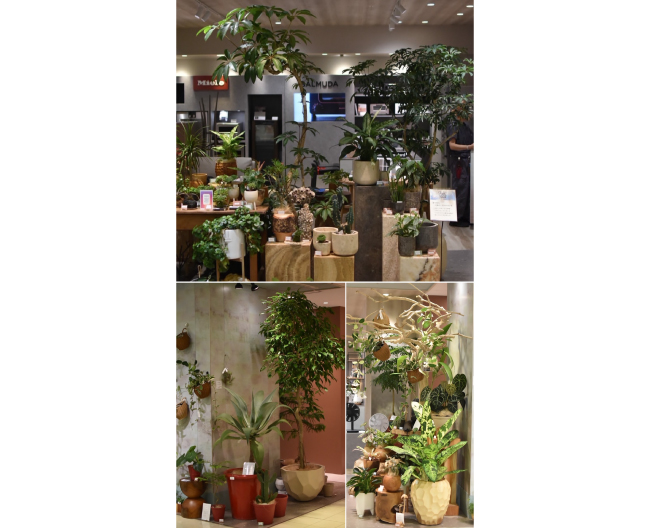 大阪髙島屋 6階 POP UP STATION の歩き方｜週替わりで顔ぶれが変わる4区画のポップアップ拠点