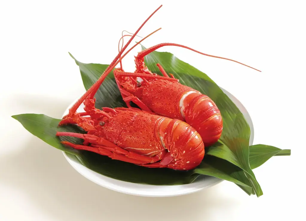 【阪神梅田本店】新年の食卓はこれで決まり！全国の美味が集結する「年末うまいもん市」を開催いたします 画像 2