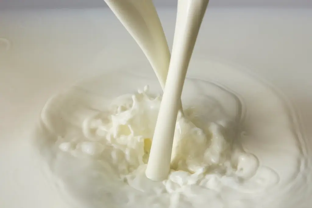 2026年1月8日(木)〜北海道発・冬季限定スイーツ「SNOWS」羽田空港 第1ターミナル「羽田スタースイーツ」に初出店。累計販売2000万枚突破「スノーサンド」など “冬だけの北海道スイーツ”が登場 画像 9