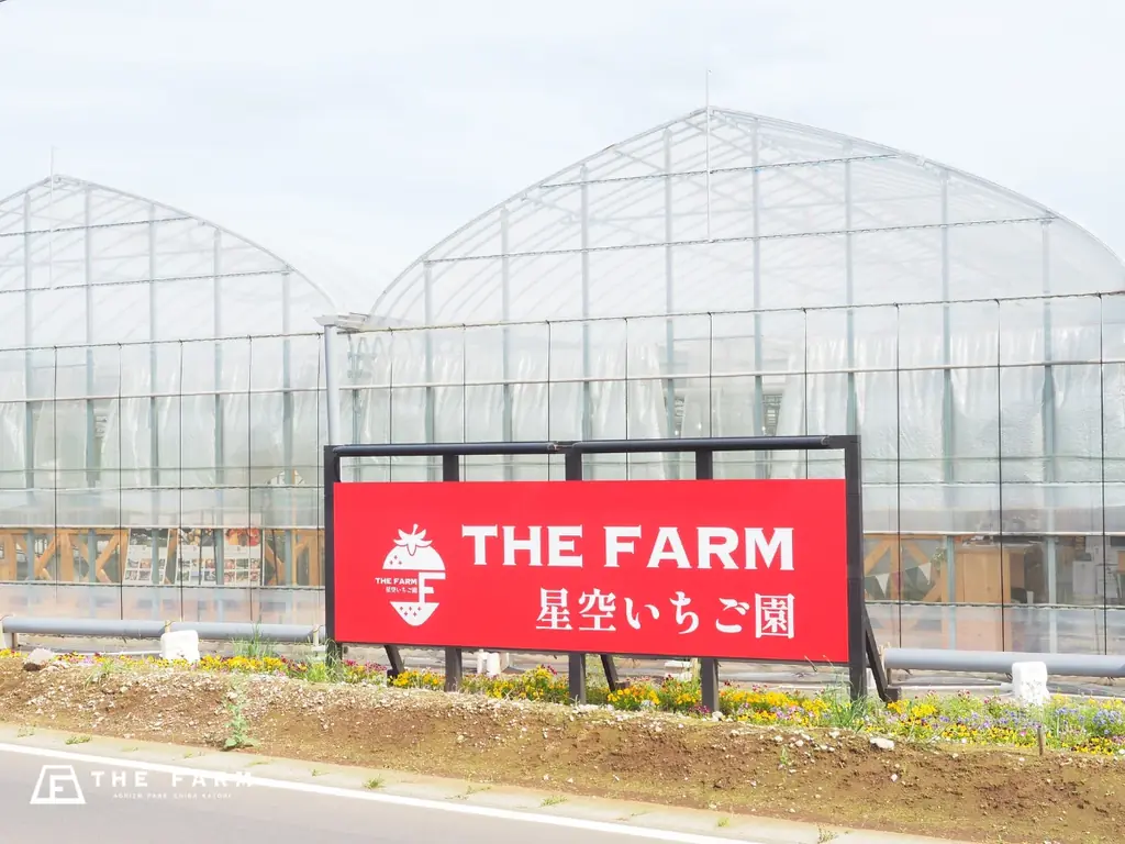 クリスマスツリーは”本物のもみの木”×手づくりオーナメント。農園リゾートTHE FARMの冬季限定宿泊プラン——自然素材に触れる体験で、季節行事を“学びの時間”に 画像 8