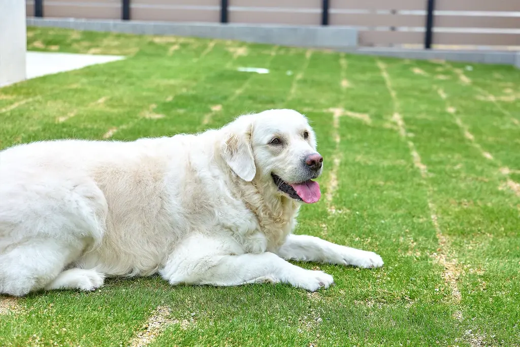 【新プラン登場】焚き火×ライトアップが映える冬の絶景グランピング。大阪・貝塚市「日本の夕陽百選」を望む “うみテラス二色の浜” で過ごす特別な海辺ステイ 画像 5