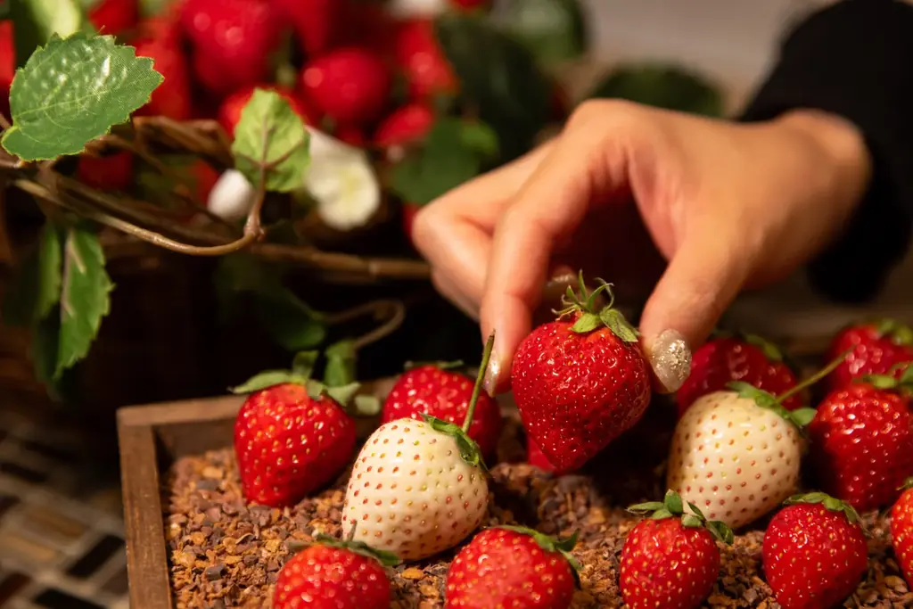 【アロフト東京銀座】まるでいちご狩り！銀座で味わう『いちごの収穫祭』 画像 2