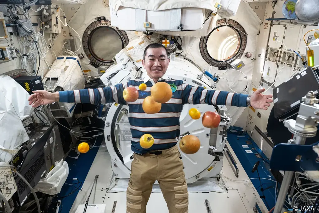 日本一早い初日の出は1月1日 0時37分「宇宙の初日の出 2026」 画像 6