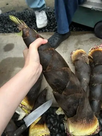 【第5回 地域の仕事“ホンネ”サロン】なぜ私は「福山市」を選んだのか？その理由、ホンネでお話しします！生活の充実とキャリア、どちらも諦めない選択ができる理由 画像 3