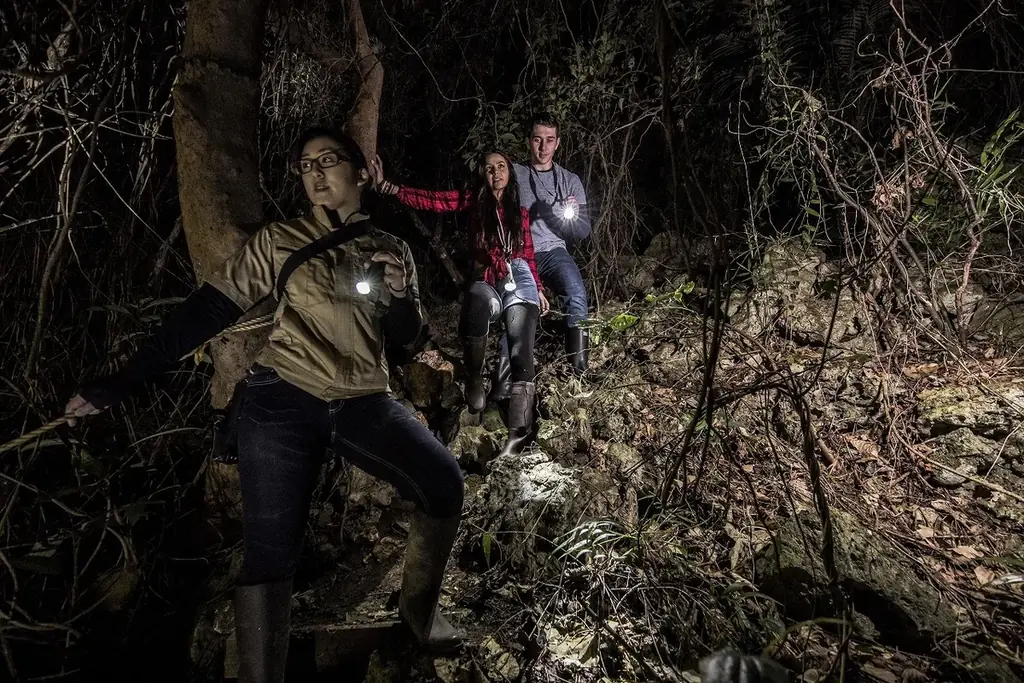 【ジャングルで感じる子どもの成長】ライト片手に夜の森を歩く冒険へ。特別な夜、家族で「今年一番の思い出」を作りませんか？ 画像 2