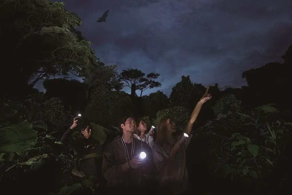 【ジャングルで感じる子どもの成長】ライト片手に夜の森を歩く冒険へ。特別な夜、家族で「今年一番の思い出」を作りませんか？ 画像 6