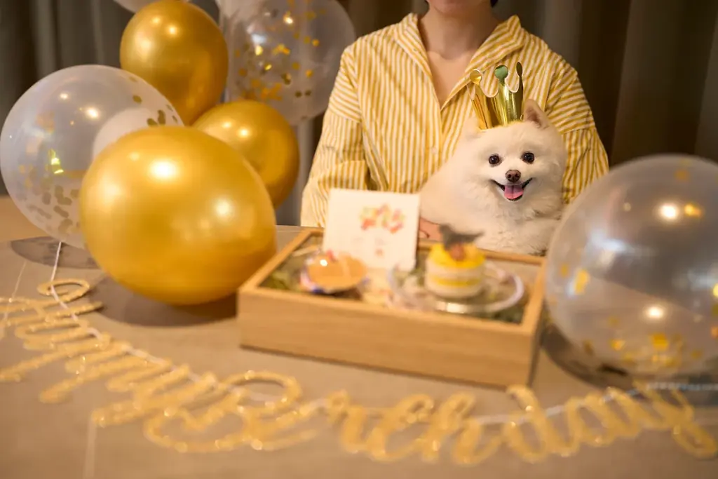 1日2組限定・お部屋のデコレーション＆ケーキを無料でご案内！愛犬と泊まれる宿「Dear Wan Spa Garden」初春キャンペーン 画像 1