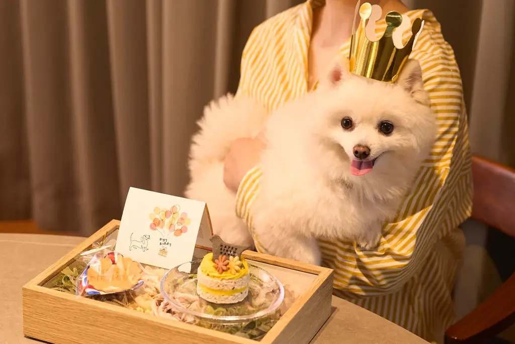 1日2組限定・お部屋のデコレーション＆ケーキを無料でご案内！愛犬と泊まれる宿「Dear Wan Spa Garden」初春キャンペーン 画像 4