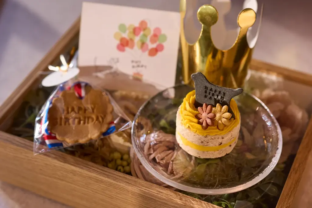 1日2組限定・お部屋のデコレーション＆ケーキを無料でご案内！愛犬と泊まれる宿「Dear Wan Spa Garden」初春キャンペーン 画像 6