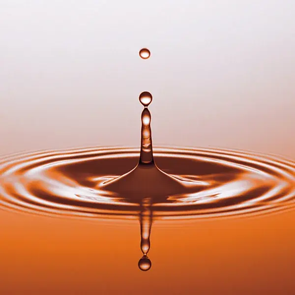 「あげてんや」新春キャンペーン 1月1日（木・祝）～ 1月4日（日）　「福袋」を各日先着順で販売いたします 画像 20