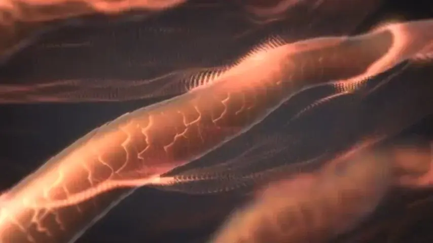 ただ伸ばす時代は終わり。“魅せるニュアンスストレート”へ 美容家電ブランドBrighteから、3Dシルクパネル搭載で丸み・立体感・ツヤを叶えるストレートヘアアイロン　2026年1月6日発売 画像 6