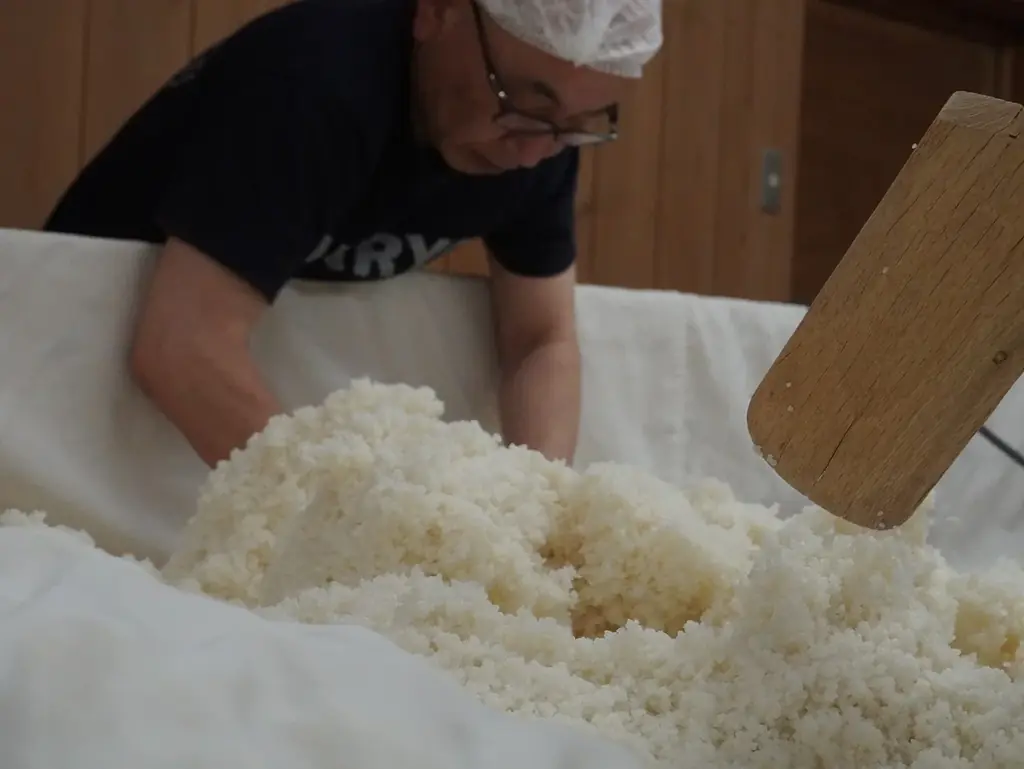 香川県初「Out of KidZania in かがわ」開催 12月23日（火）より参加者募集を開始 画像 3