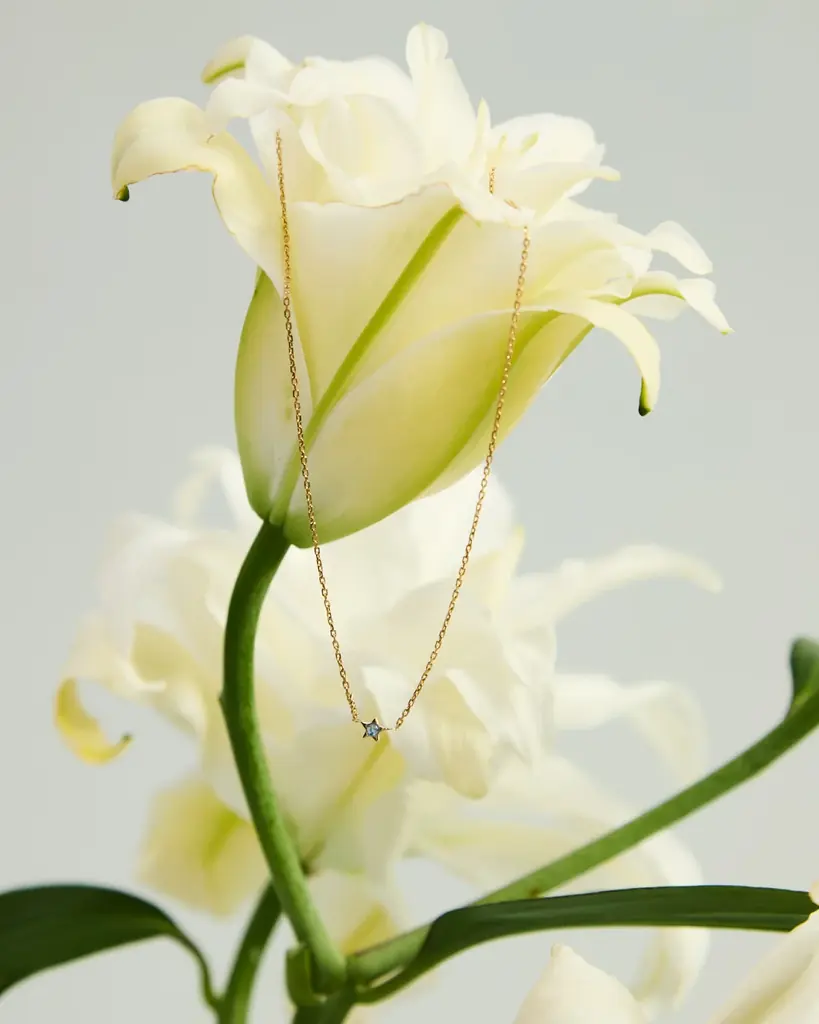 CONVERSE TOKYOが宝塚歌劇星組公演チケットプレゼントキャンペーンを実施中。宝塚歌劇団OGの4名を迎えたスペシャルビジュアルを公開！キャンペーンを記念したスペシャルシューズの受注発売も。 画像 7