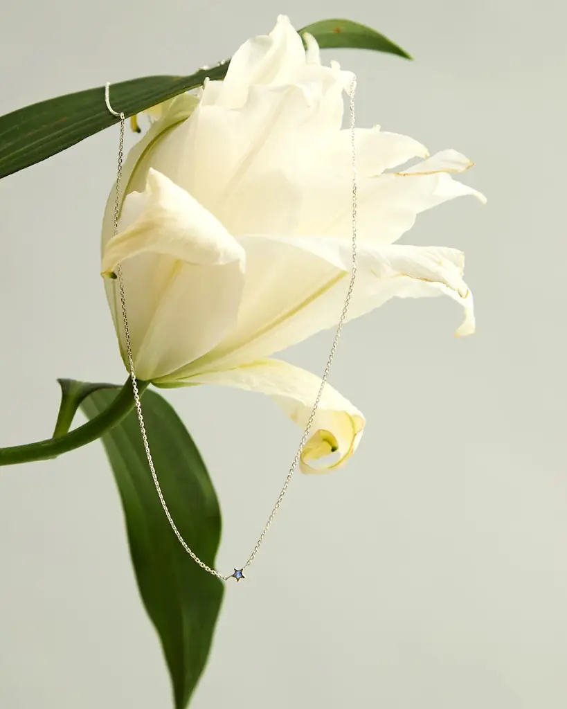 CONVERSE TOKYOが宝塚歌劇星組公演チケットプレゼントキャンペーンを実施中。宝塚歌劇団OGの4名を迎えたスペシャルビジュアルを公開！キャンペーンを記念したスペシャルシューズの受注発売も。 画像 8