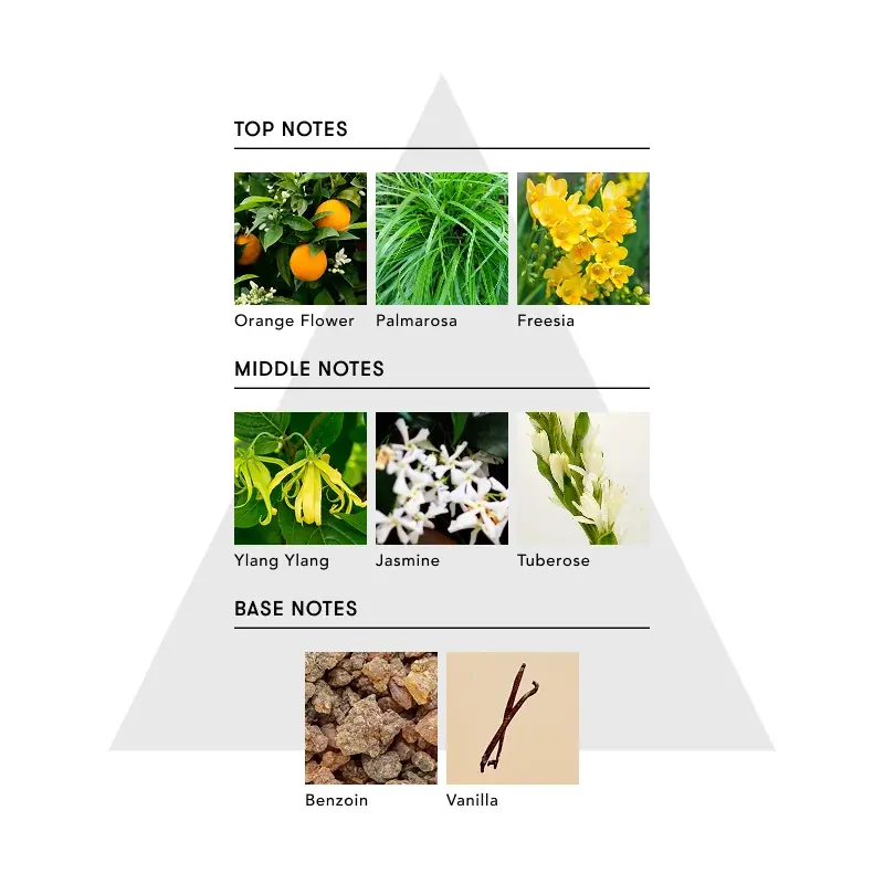 【#FR2×SINN PURETÉ】コラボアイテムが12/24(水)発売開始！コラボレーションで誕生した「Luna Blanca」の香りのヘアオイルとオードパルファムが登場。 画像 12