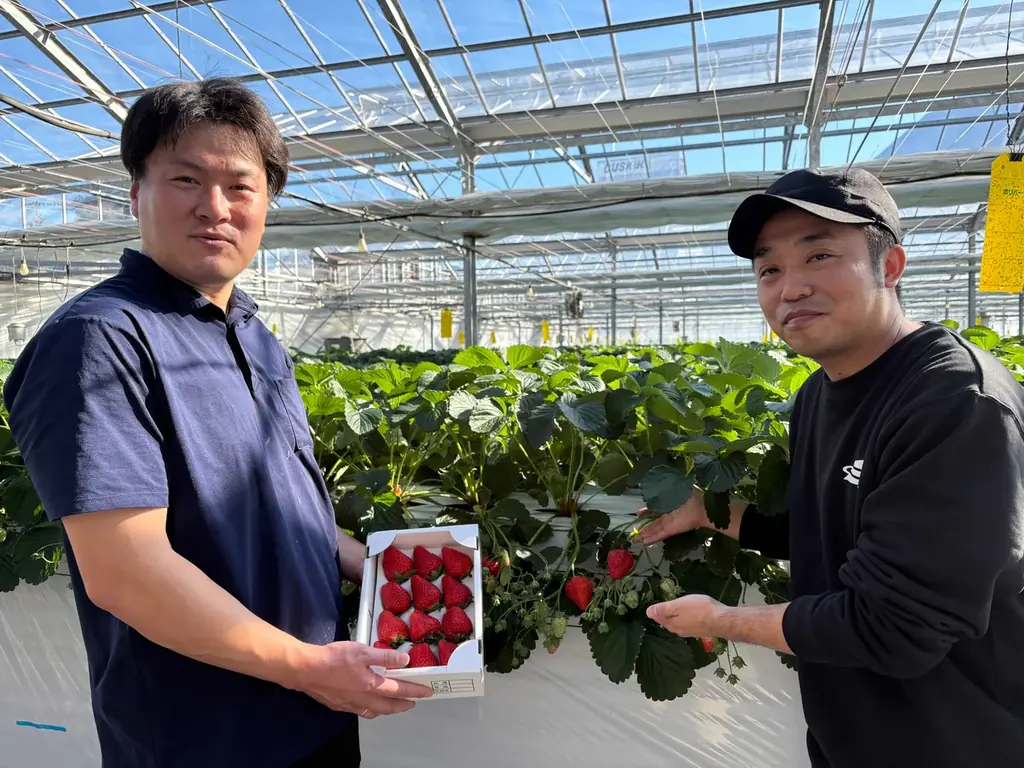 一期一会の出会いに感謝。秩父のいちごの魅力を発信するために武甲温泉で「いちごフェア」を開催。ご来館のお客さまにいちごプレゼントも 画像 1