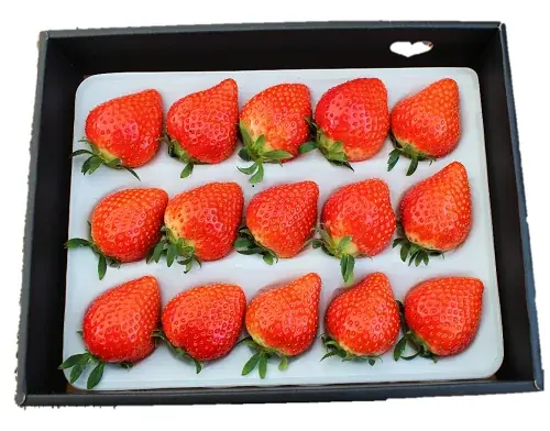 【JAF香川】第2回ぐるっと満喫EAST AREA KAGAWAスタンプラリーを開催します！ 画像 7