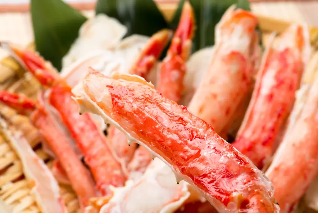 遠くて近い！？愛媛（松山空港）と北海道（新千歳空港）をつなぐ乗り継ぎ旅 画像 7