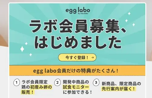 【新ブランド】egg labo by marufuku から『プリン４種BOX』を12月25日に数量限定販売！ 画像 10