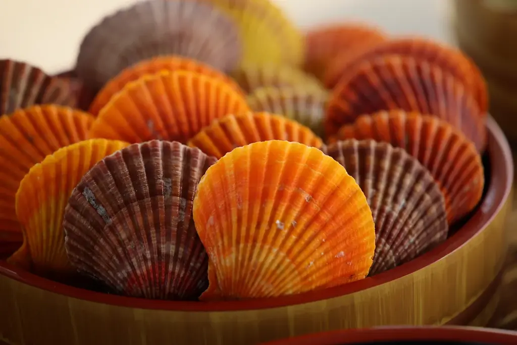 【岐阜県土岐市・ニューオープン】57日間で営業終了！旅する海鮮カキ小屋カキダオレが12月26日からイオンモール土岐に帰ってくる！ 画像 3