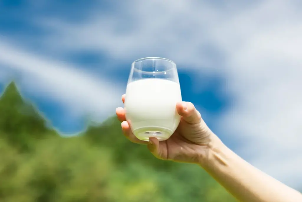 【岐阜県飛騨市】 飛騨唯一の乳業メーカーの挑戦！飛騨の牛乳の価値を守り、未来へつなぐ使命を果たしたい「HIDAミルクプロジェクト」 画像 4