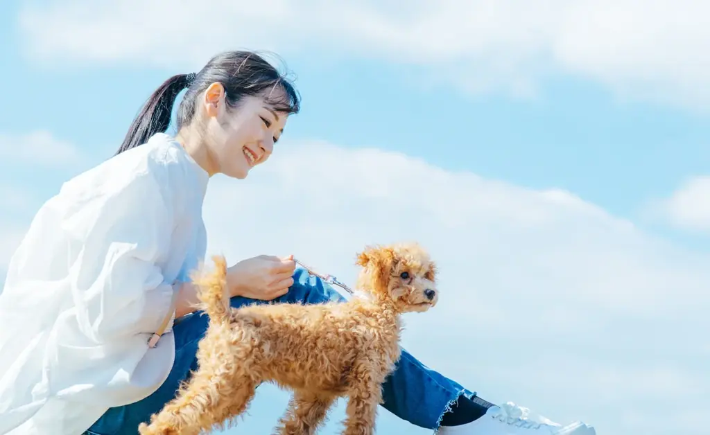 P’s-first上尾店オープンのお知らせ 画像 5