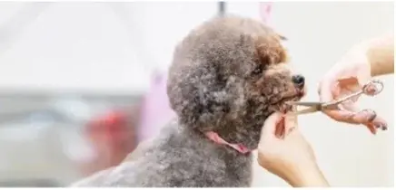 P’s-first上尾店オープンのお知らせ 画像 6