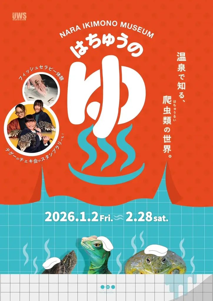 1月2日〜奈良で開催　温泉気分の爬虫類展『はちゅうの湯』