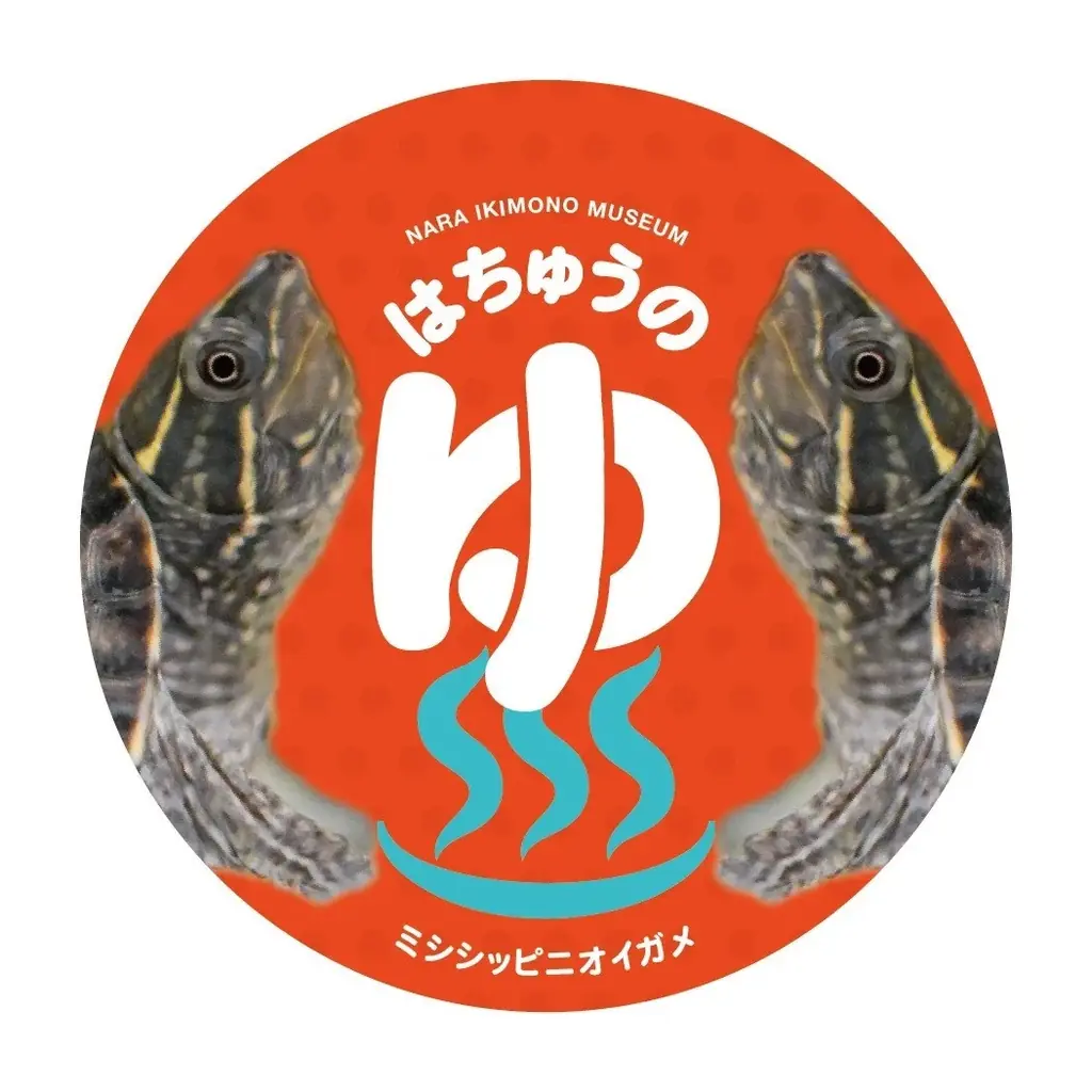 【奈良いきものミュージアム】まるで温泉旅館、でも主役は爬虫類。“湯けむり可愛い”冬の企画展「はちゅうの湯」開催 画像 11