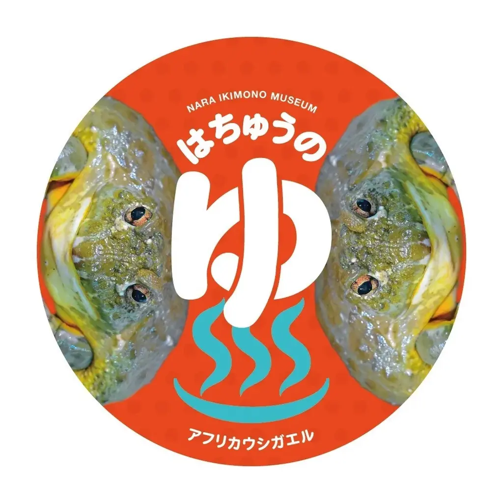 【奈良いきものミュージアム】まるで温泉旅館、でも主役は爬虫類。“湯けむり可愛い”冬の企画展「はちゅうの湯」開催 画像 12