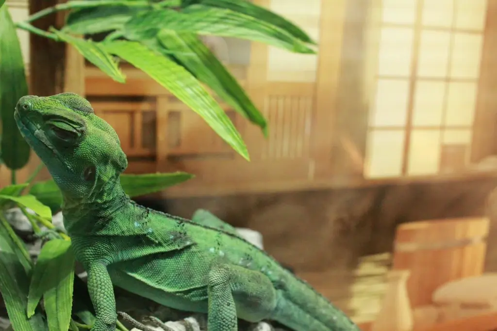 【奈良いきものミュージアム】まるで温泉旅館、でも主役は爬虫類。“湯けむり可愛い”冬の企画展「はちゅうの湯」開催 画像 6