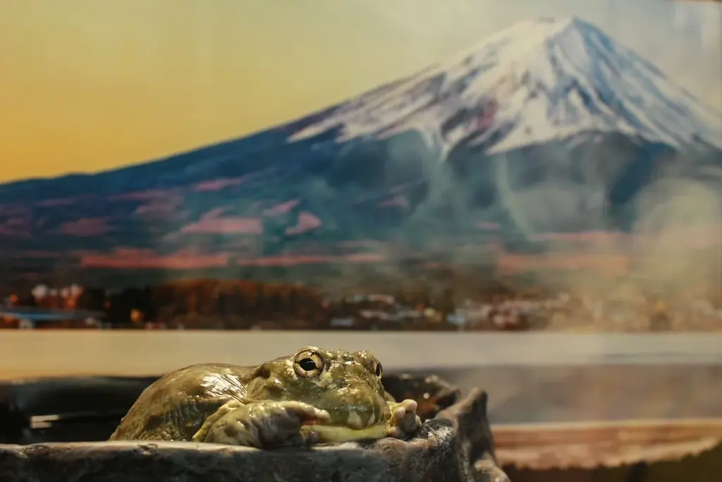 【奈良いきものミュージアム】まるで温泉旅館、でも主役は爬虫類。“湯けむり可愛い”冬の企画展「はちゅうの湯」開催 画像 8