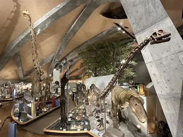 【恐竜好き必見！】恐竜博士・真鍋真先生の「恐竜学動画」を無料公開！　恐竜の化石～骨格の解説まで！『学研の科学　恐竜化石発掘キット』発売記念 画像 10