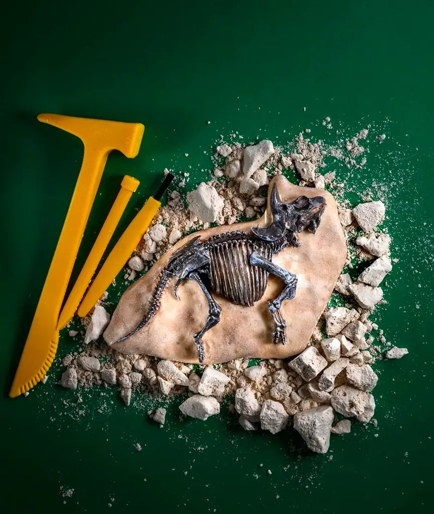 【恐竜好き必見！】恐竜博士・真鍋真先生の「恐竜学動画」を無料公開！　恐竜の化石～骨格の解説まで！『学研の科学　恐竜化石発掘キット』発売記念 画像 3