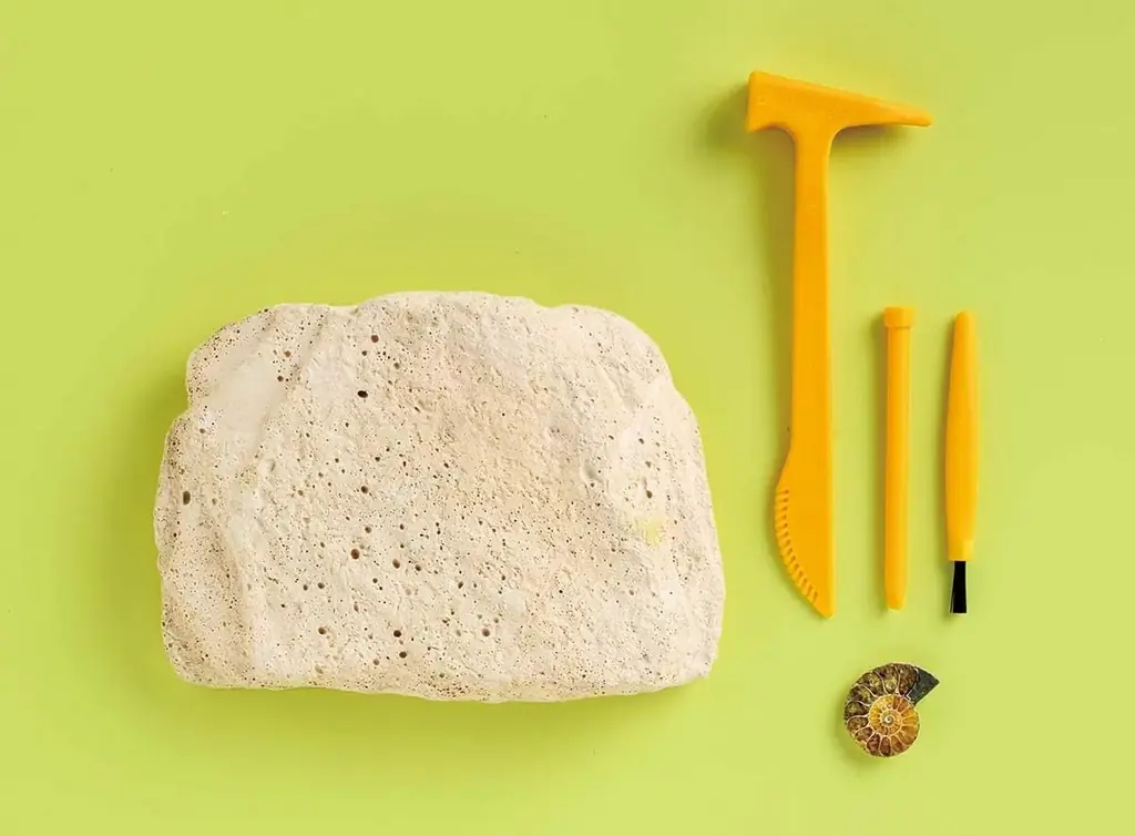 【恐竜好き必見！】恐竜博士・真鍋真先生の「恐竜学動画」を無料公開！　恐竜の化石～骨格の解説まで！『学研の科学　恐竜化石発掘キット』発売記念 画像 4