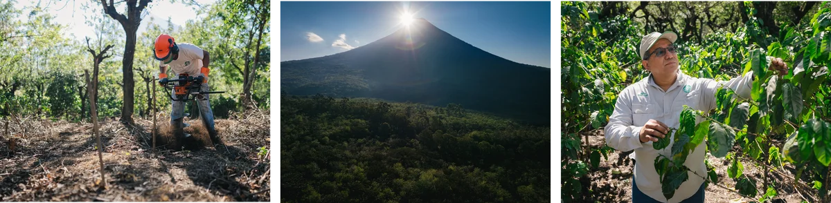 12月26日発売　グアテマラ初収穫豆がロースタリー東京で