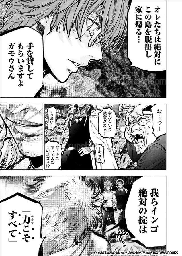 累計310万部目前！テンションも危険度もMAX！『インゴシマ』21巻 2025年12月25日発売 画像 3