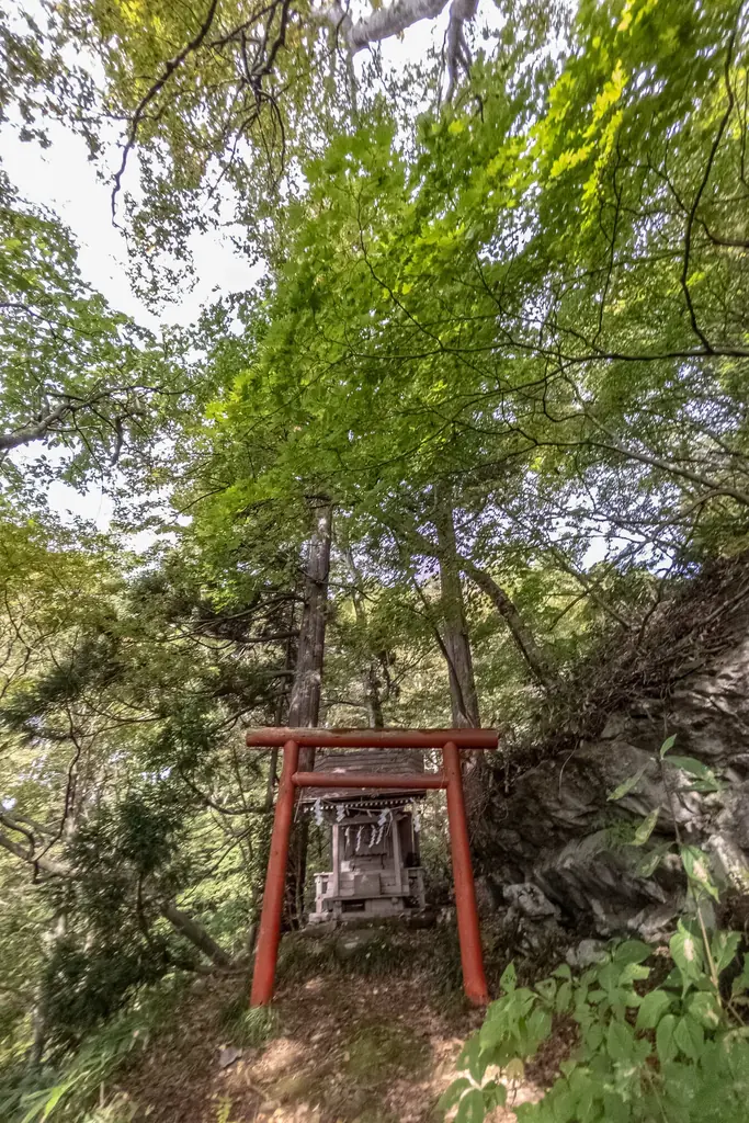 2026年は12年に一度の特別な「羽黒山午歳御縁年」≪山形県鶴岡市≫ 画像 12