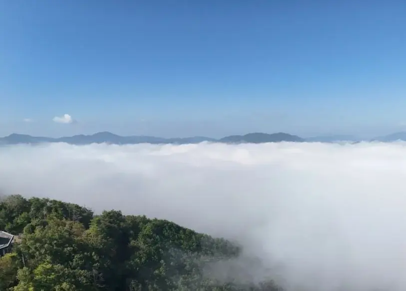 【開催100日前】予約殺到の「空の祭典」が再び！京都・亀岡市で「バルーンフェスティバル2026」4月開催決定！夜桜×熱気球の絶景イリュージョンも。 画像 2