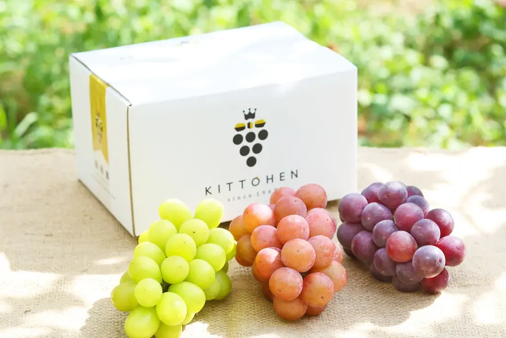 年賀状は終わらせない。名古屋のブランディング会社が「受け取って終わらない」年始企画を2026年も実施 画像 8