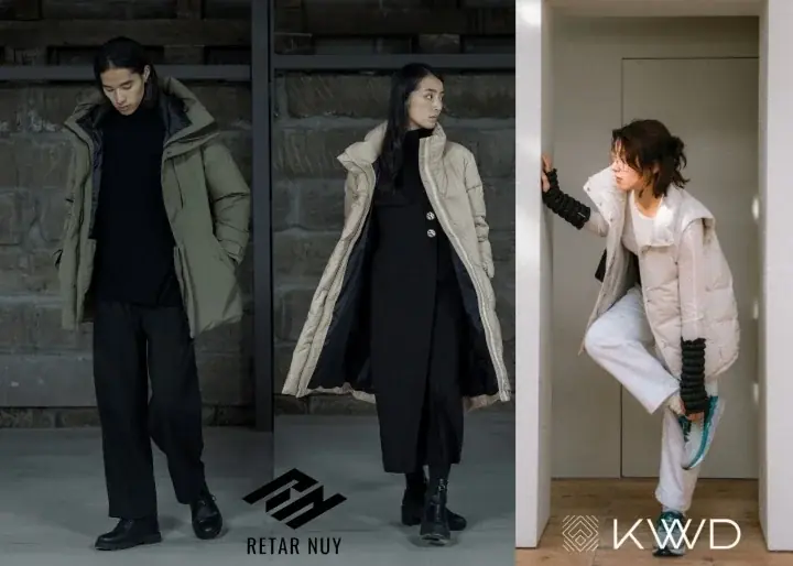 日本のダウン展