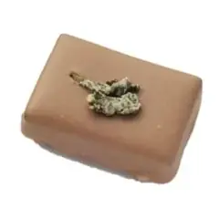 【ショコラティエ パレドオール】ショコラで味わう“国産茶のおいしさ”大切な方へ想いを届けるひと箱 画像 4