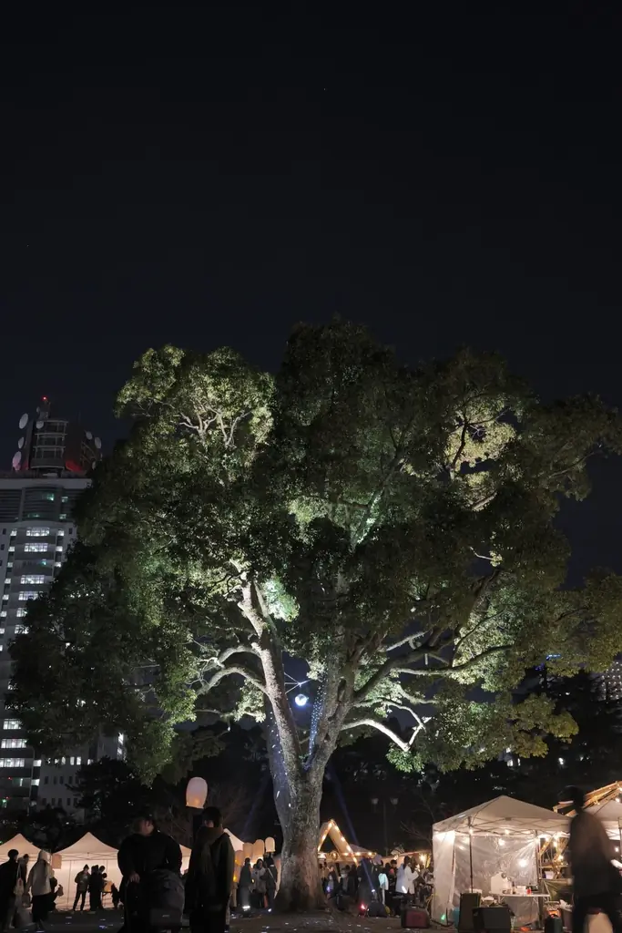 【静岡・駿府城公園】新しい一年の始まりを幻想的な光で彩る。「ランタン夜市とWONDERFUL AFTER HOLIDAY」2026年1月9日〜11日開催決定！ 画像 3