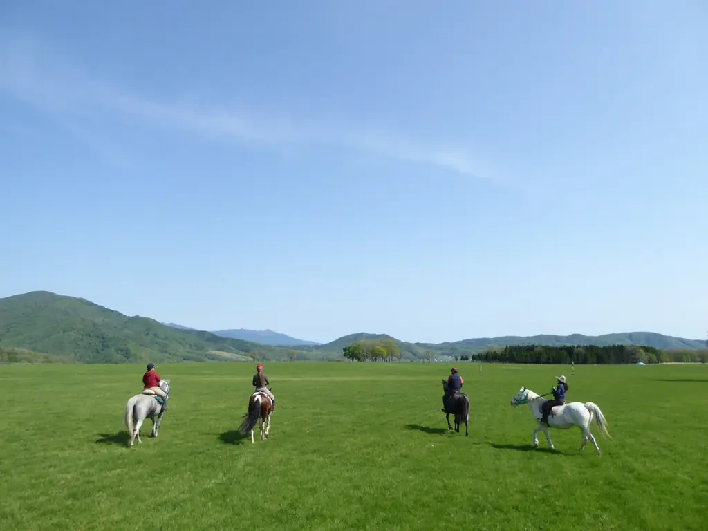 【あべのハルカス近鉄本店】初売り、１月２日(金)から 画像 12