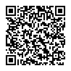 【あべのハルカス近鉄本店】初売り、１月２日(金)から 画像 4