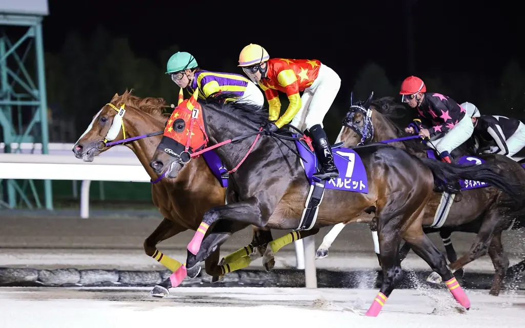 【あべのハルカス近鉄本店】初売り、１月２日(金)から 画像 8