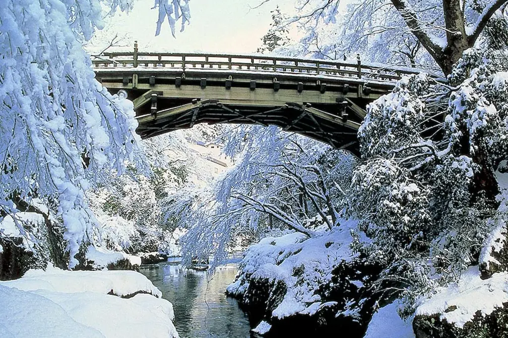 【新春☆親孝行旅のススメ】うまいもん×湯めぐり×山中塗り夫婦箸×記念写真♪ 姿ズワイガニ、ぶり、貸切風呂、ミニバー、街歩き、総湯、アイスストリート etc. 画像 12