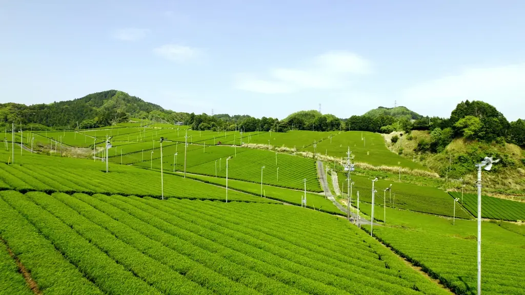 【静岡県菊川市ふるさと納税】株式会社花城ミートサプライが提供する静岡県産の牛肉と豚肉を受付中です！！ 画像 2
