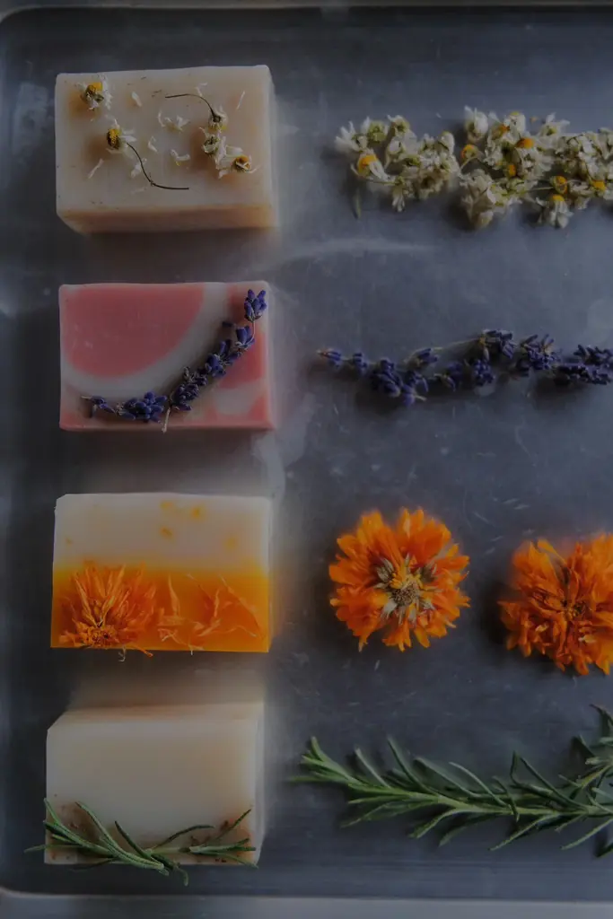 新年の“キレイ”を体験でアップデート！ 1月10日(土)から12日(月・祝)の3日間、ららぽーと名古屋みなとアクルスで美容・ライフスタイル体験イベントを開催！ 画像 10