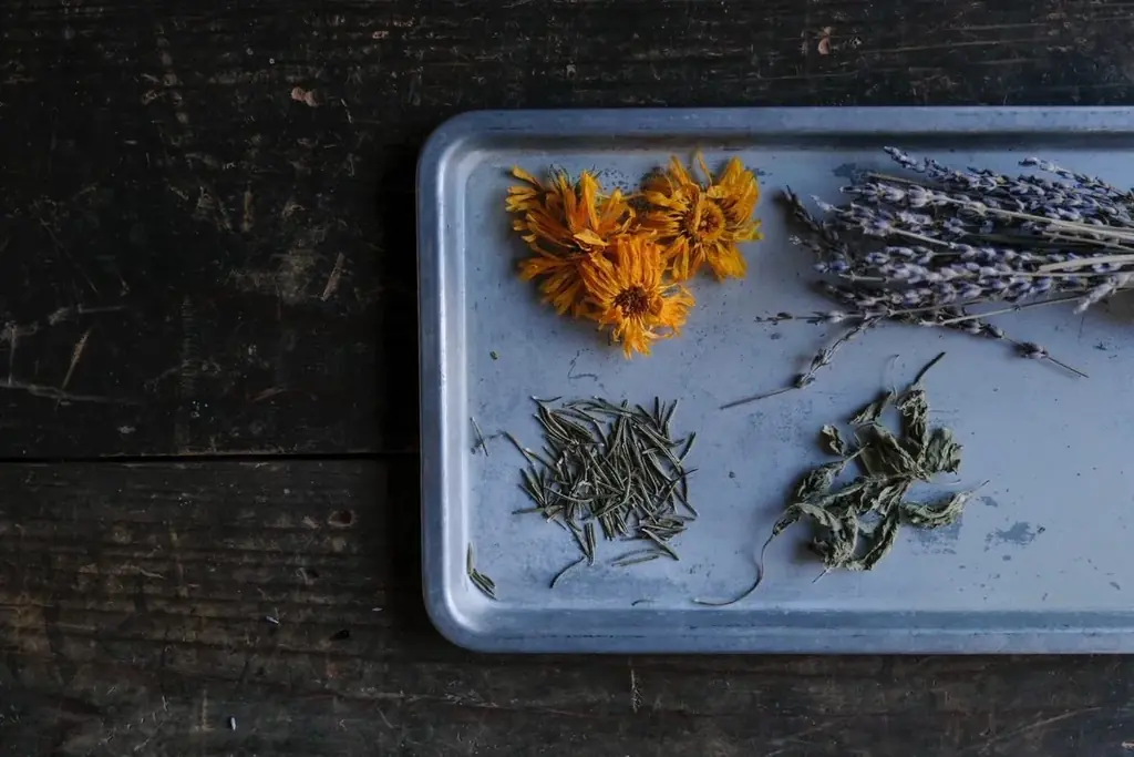 新年の“キレイ”を体験でアップデート！ 1月10日(土)から12日(月・祝)の3日間、ららぽーと名古屋みなとアクルスで美容・ライフスタイル体験イベントを開催！ 画像 11